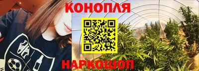 гашик Волжский