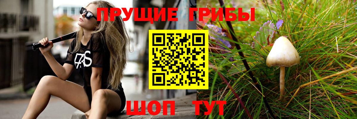 Псилоцибиновые грибы мицелий  Псилоцибиновые грибы ЛСД  купить закладку  Оренбург  Вход с VPN 