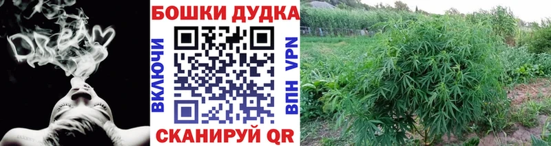 Канабис план  купить  цена  Оренбург 